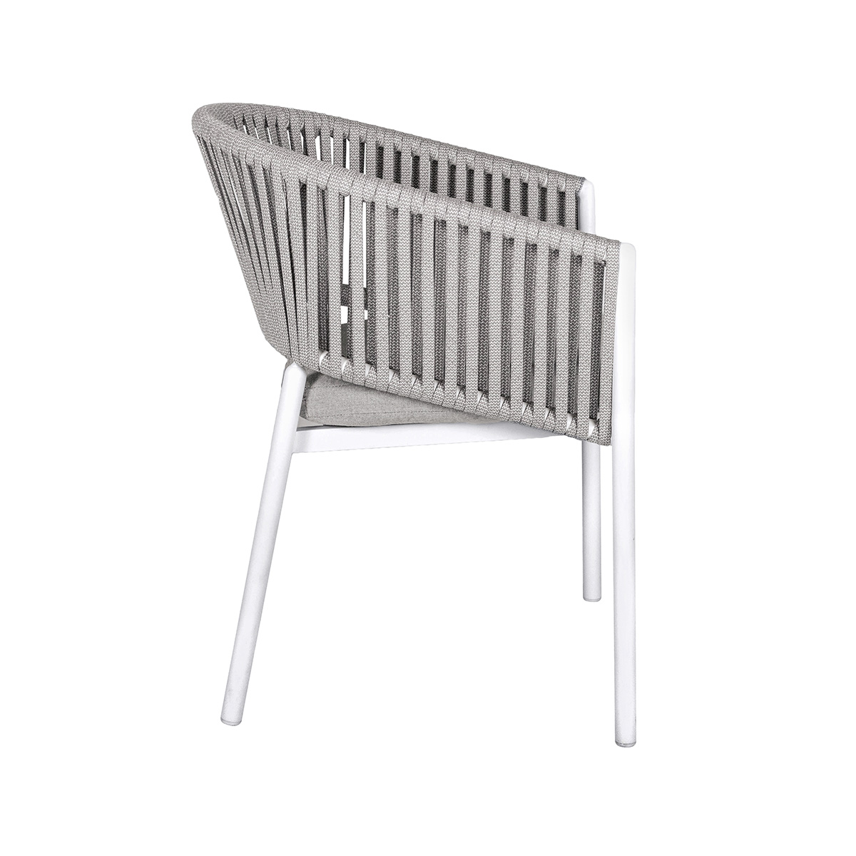 Baikal silla - Image 6