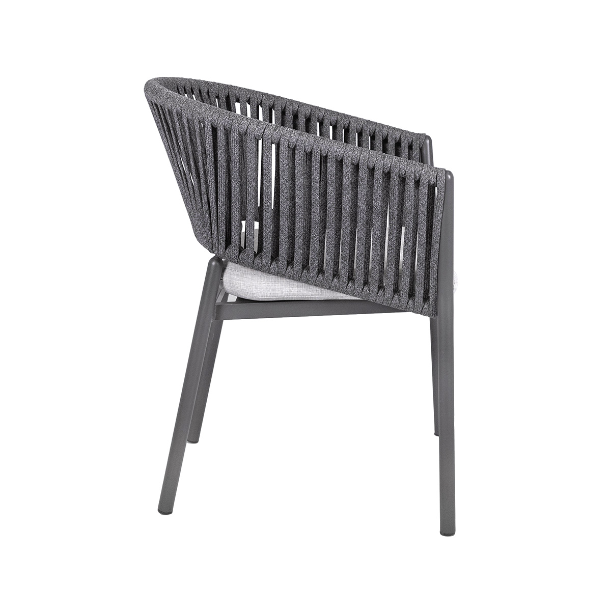 Baikal silla - Image 3